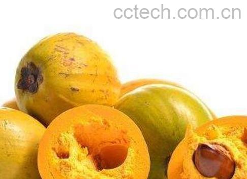 蛋黄果的功效和食用禁忌-0