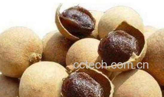 干桂圆的功效与作用 干桂圆怎么吃-1