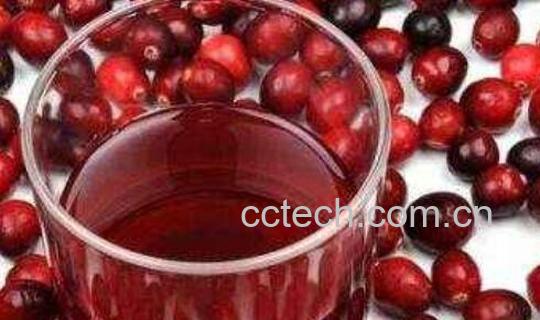 蔓越莓果汁的功效与作用-0