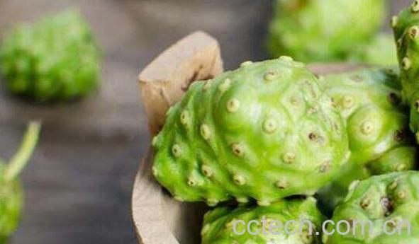 诺丽果汁的功效与作用 诺丽果汁的副作用-1