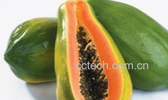 番木瓜的功效与作用 吃番木瓜的好处-1