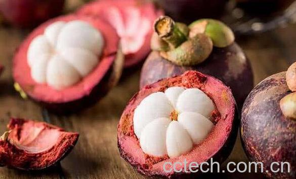 山竹壳怎么处理 山竹壳泡水喝的功效-0