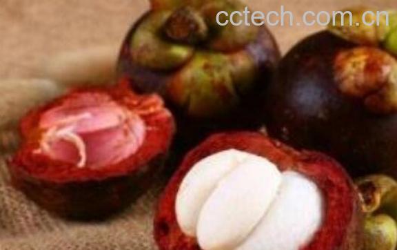 山竹壳怎么处理 山竹壳泡水喝的功效-1