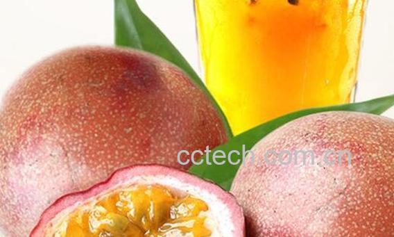 西番莲的功效与作用及药用价值-0