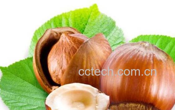 板栗内膜的药用价值与功效作用-0