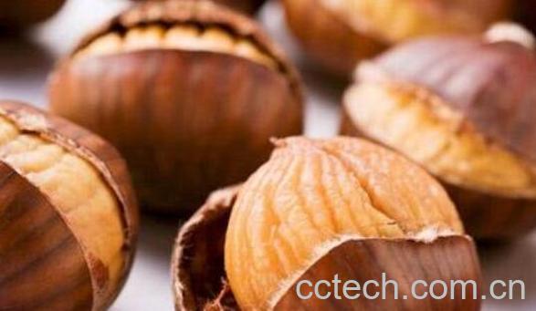 板栗内膜的药用价值与功效作用-1