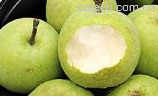 青皮梨的功效与作用及禁忌-0