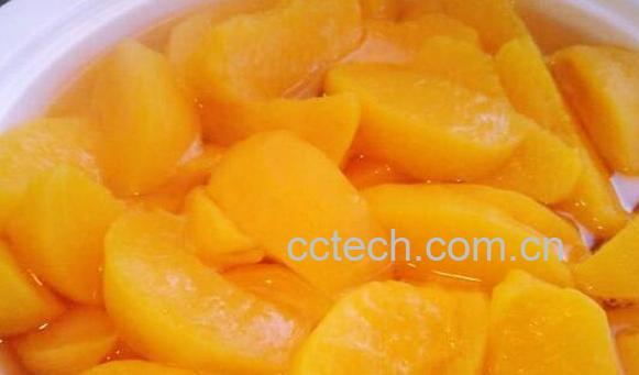 蒸桃子的功效与作用-0