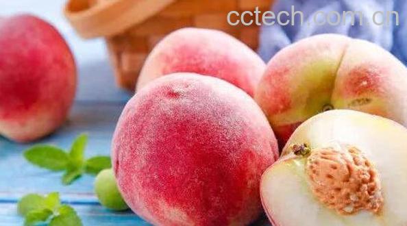 蒸桃子的功效与作用-1