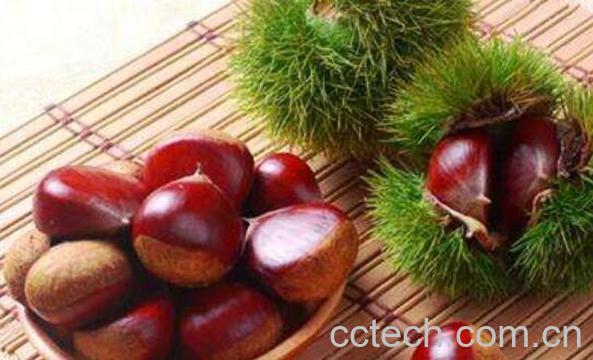 板栗怎么剥外面的刺 被板栗刺伤怎么办-1