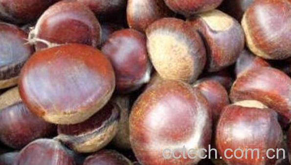 剥好的生板栗如何保存-0