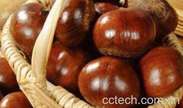 怎么剥生板栗壳更容易-1