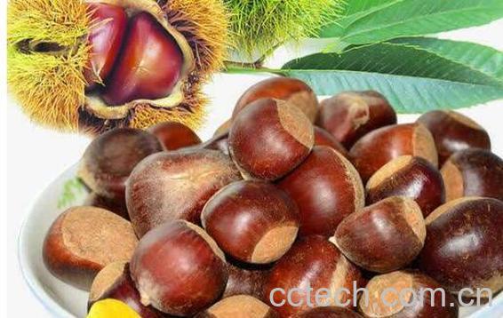 生板栗怎么剥皮 生板栗怎么去皮最快-1