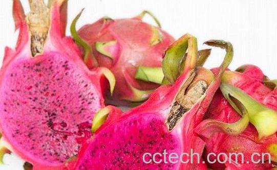 小孩吃火龙果有什么好处-1