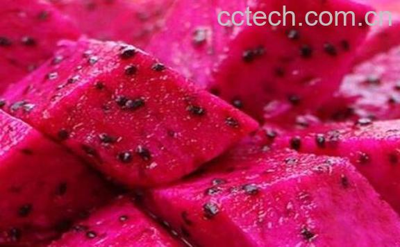 红火龙果和白火龙果区别 红火龙果的功效-0