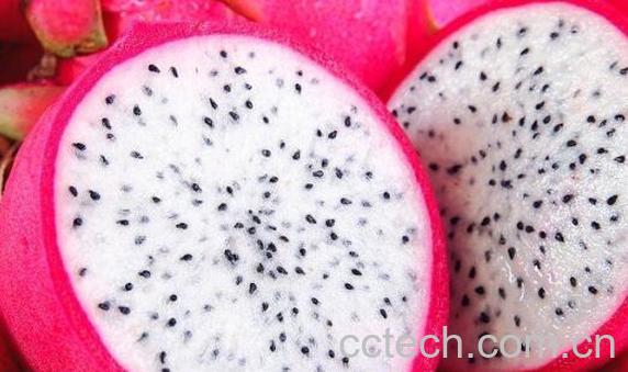 红火龙果和白火龙果区别 红火龙果的功效-1