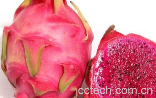 小火龙果和大火龙果的区别 吃火龙果的好处-0