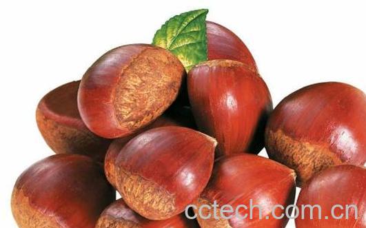 吃板栗有什么好处有哪些 板栗的功效-0