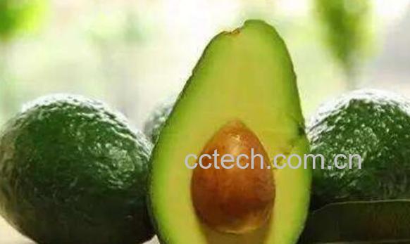 牛蛇果和牛油果的区别 吃牛油果的好处-0