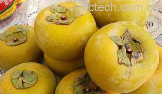 硬柿子和软柿子的区别-0