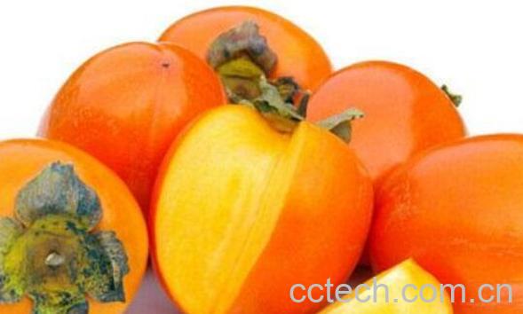 柿子怎样催熟-0