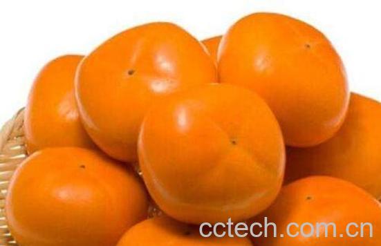 脆柿子的功效与作用 脆柿子的禁忌-1