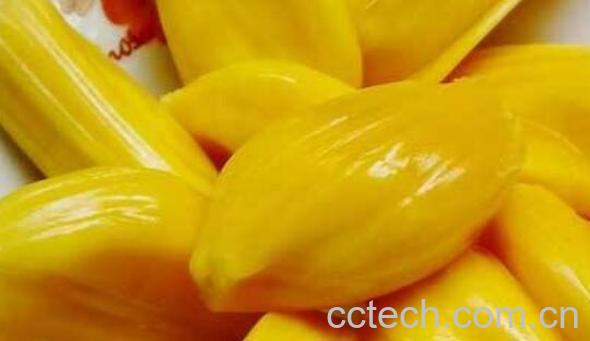 菠萝蜜的吃法 吃菠萝蜜的好处-1