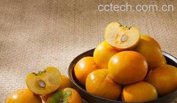 硬柿子怎么做 硬柿子可以吃吗-1