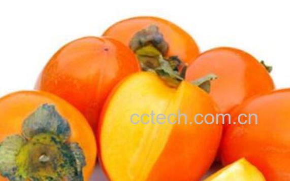 硬柿子的功效与作用-1