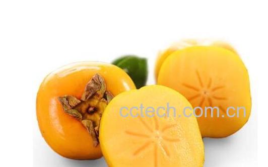 硬柿子的功效与作用-0