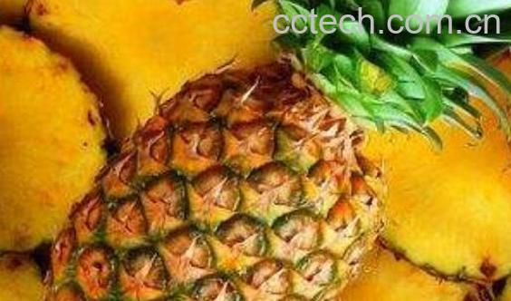 金菠萝与普通菠萝区别 金菠萝怎么挑选-0