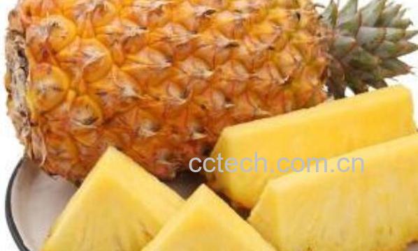 什么是金菠萝 金菠萝怎么吃-1