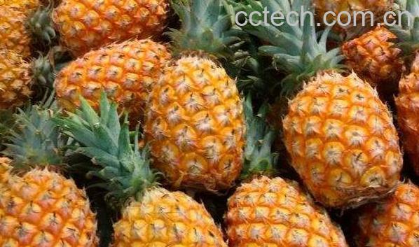 菠萝和凤梨的区别 吃菠萝的好处-1