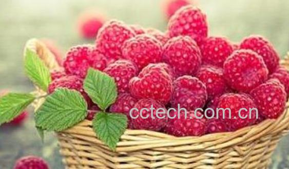 中药覆盆子的功效与作用-0