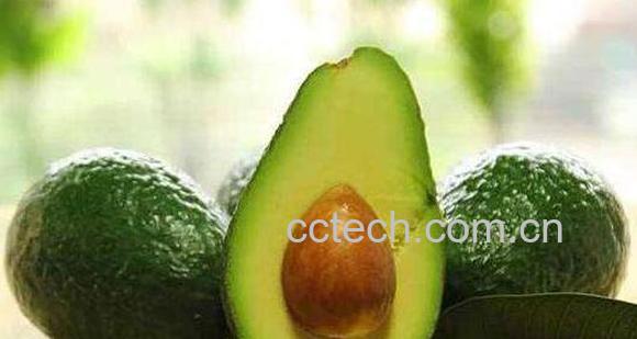 牛油果的功效与副作用-0