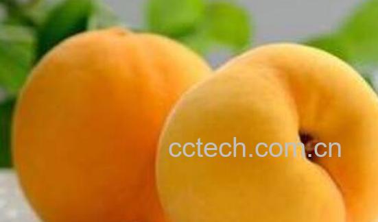 新鲜黄桃的功效与作用-0