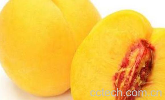 新鲜黄桃的功效与作用-1