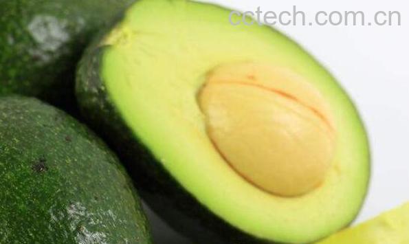 每天吃一个牛油果的奇效-1