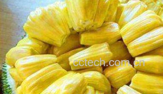 菠萝蜜的功效与作用 吃菠萝蜜的禁忌-1