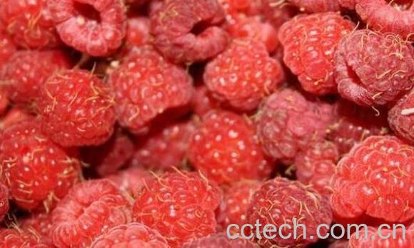 覆盆子泡水喝的功效-1