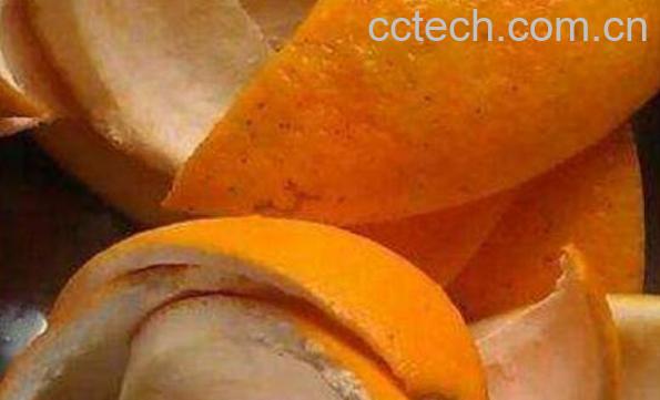 橙皮的功效和作用及禁忌-1