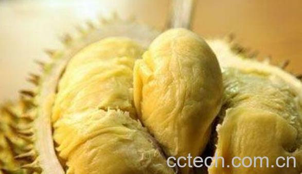 菠萝蜜和榴莲的区别-1