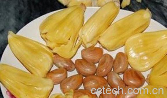 菠萝蜜的核能吃吗 菠萝蜜的核怎么吃好-0