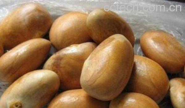 菠萝蜜的核能吃吗 菠萝蜜的核怎么吃好-1