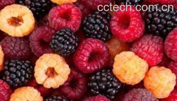 覆盆子干泡水喝的功效与禁忌-0