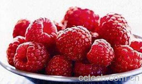 野生覆盆子的作用与功效-1