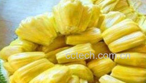 如何挑选菠萝蜜 菠萝蜜选购技巧教程-1