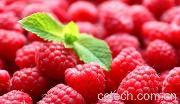 干覆盆子怎么泡水喝 -0