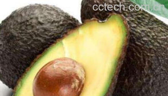 鳄梨的核怎么吃最好-0