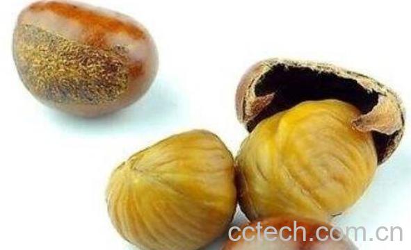 生板栗怎么吃 生板栗怎么做好吃-1